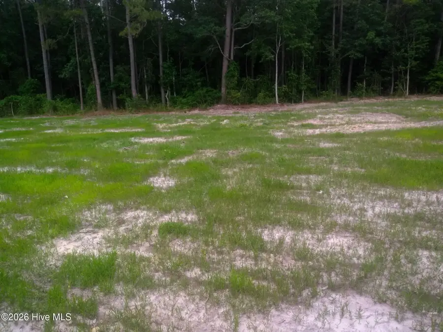 Tbd Pridgen Dead End Road, La Grange, NC 28551 - #2