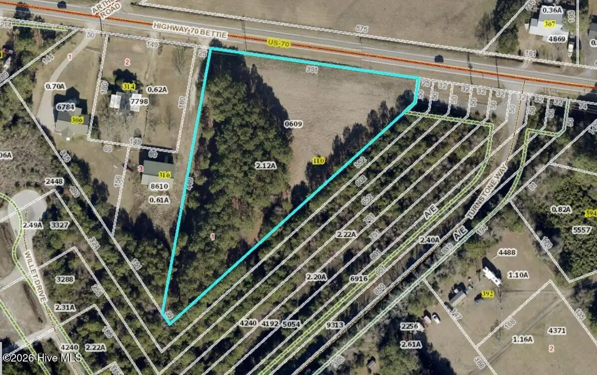 110 Turnstone Way, Beaufort, NC 28516 - #1