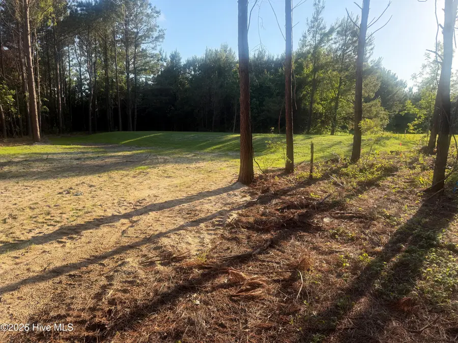 110 Turnstone Way, Beaufort, NC 28516 - #2