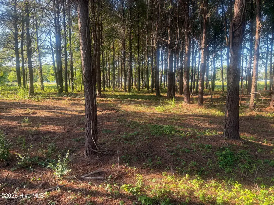 110 Turnstone Way, Beaufort, NC 28516 - #3