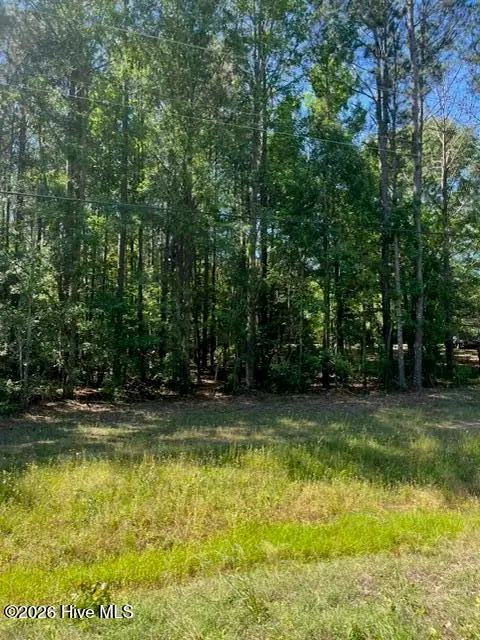 0 Cobbham Road, Appling, GA 30802 - #3
