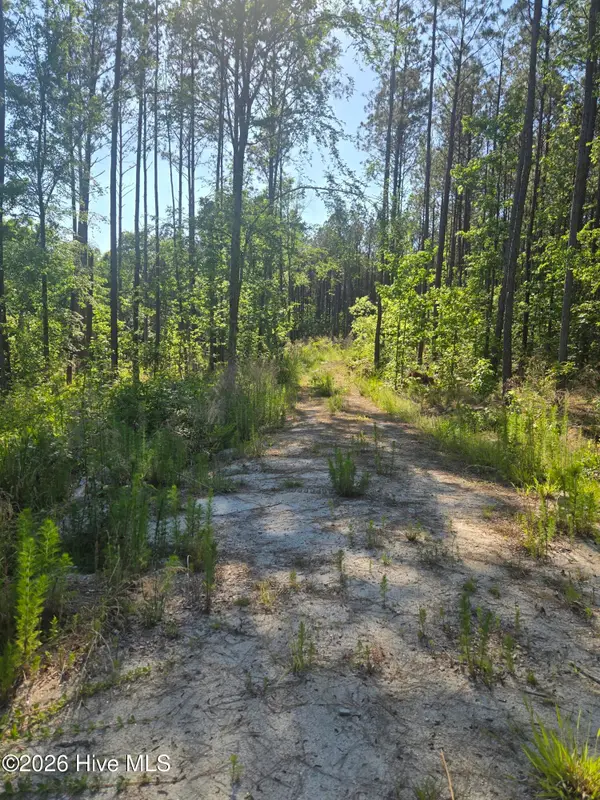 1048 Serenity Pointe Drive, Lincolnton, GA 30817