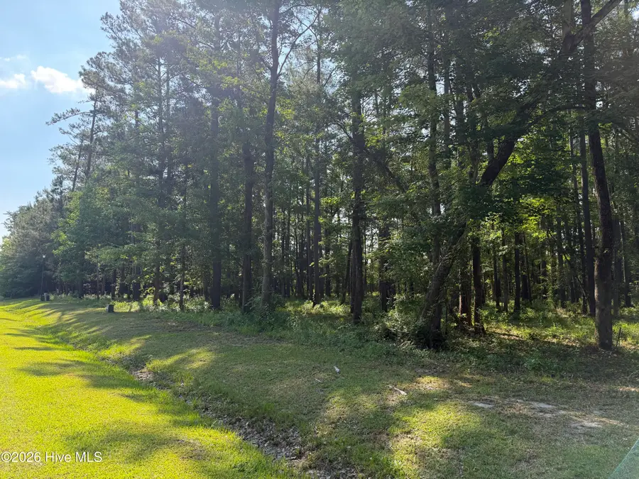 221 Bridgewater Drive, Beaufort, NC 28516 - #3