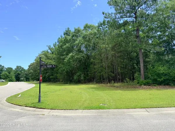 3702 Little Berry Place Ne, Leland, NC 28451