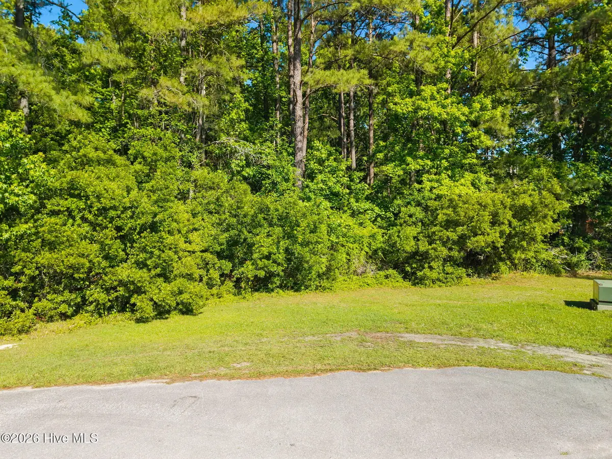 2160 Lake Butler Lane Nw, Longwood, NC 28452 - #1