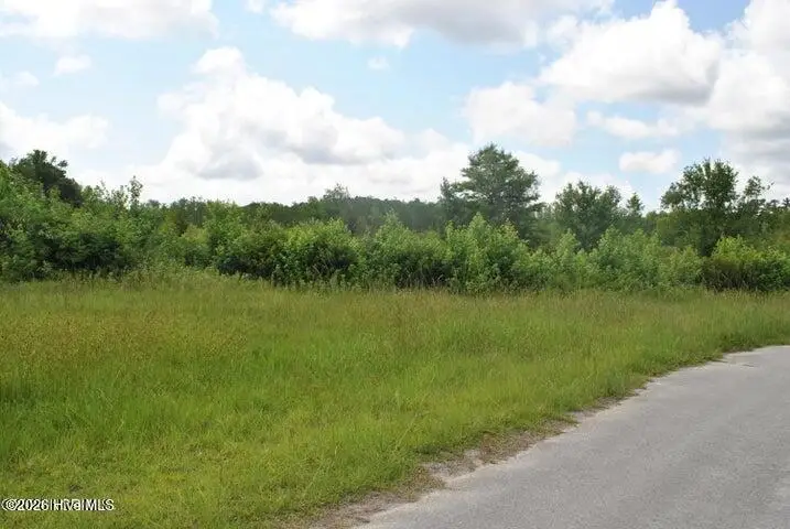 2309 Butler Circle Nw, Ash, NC 28420 - #1
