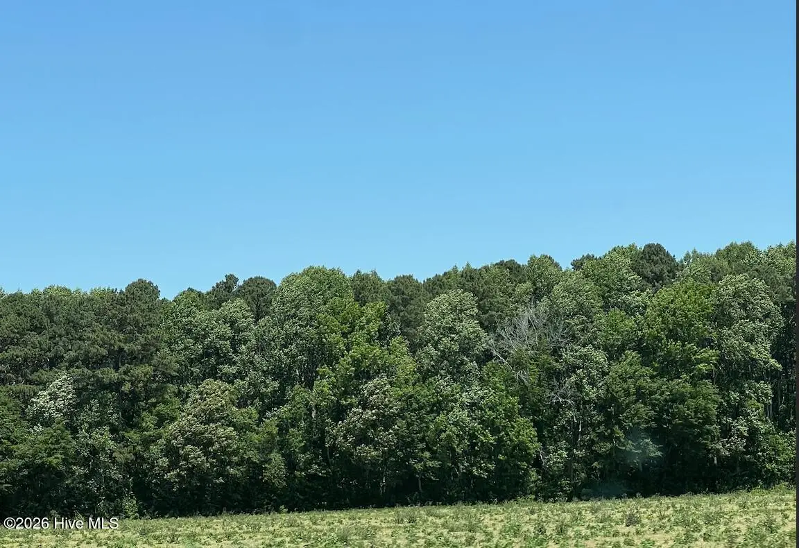 Tbd Highway S, Camden, NC 27921 - #1