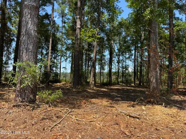 Lot 6 Near 4102 Swamp Fox Highway W, Tabor City, NC 28463