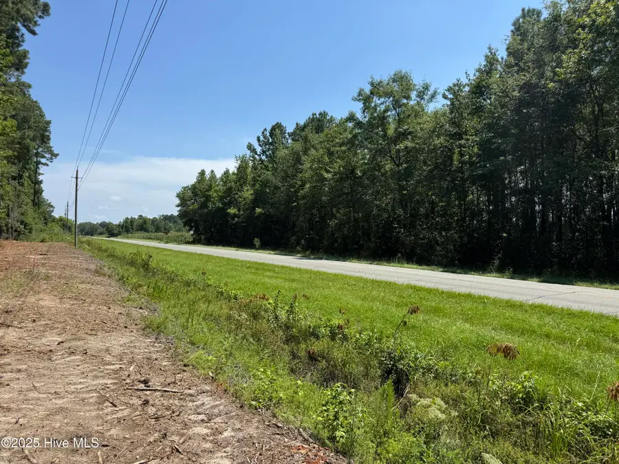Lot 6 Near 4102 Swamp Fox Highway W, Tabor City, NC 28463 - #2