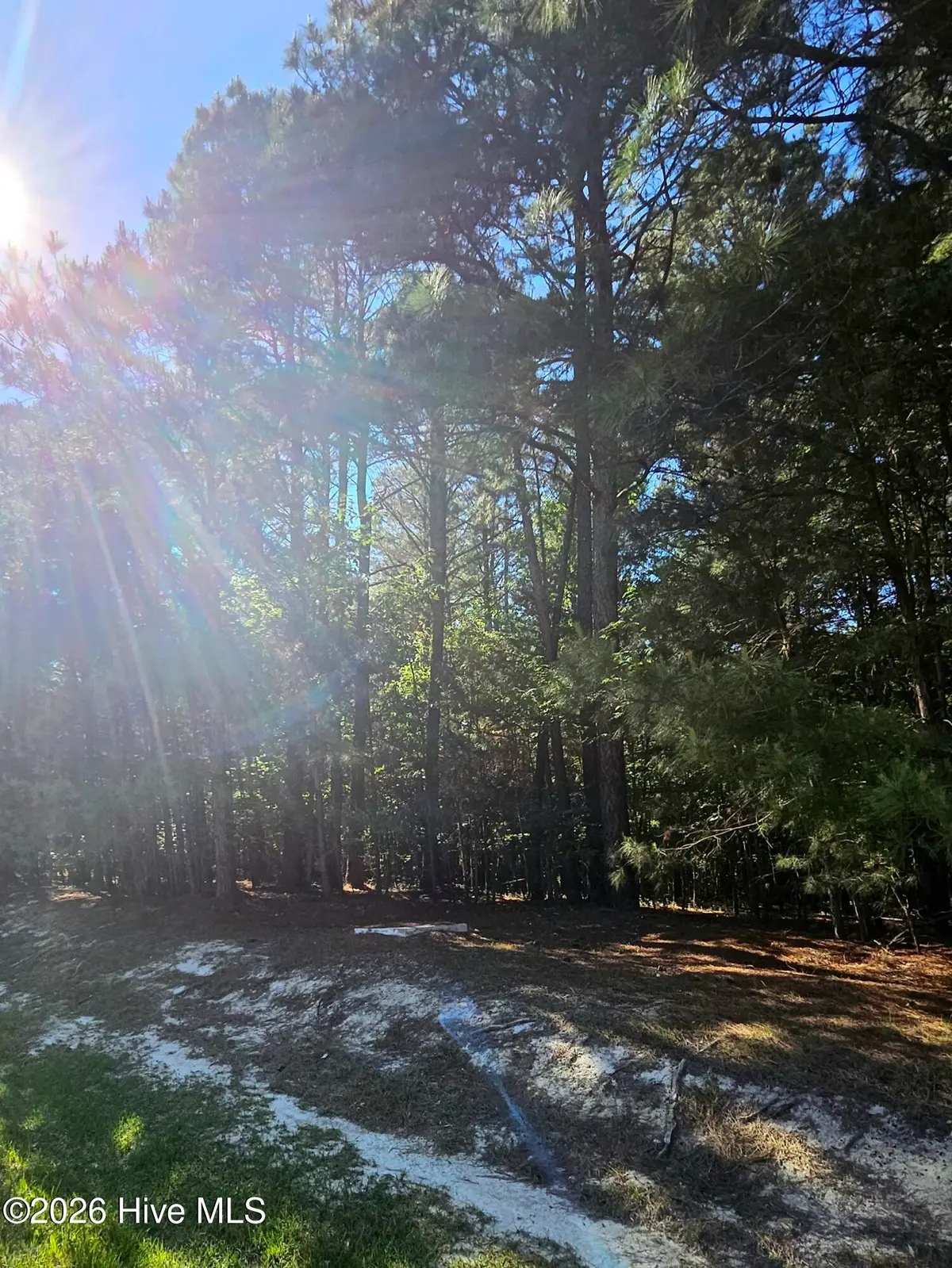 39 Calm Harbor Street, Hertford, NC 27944 - #1