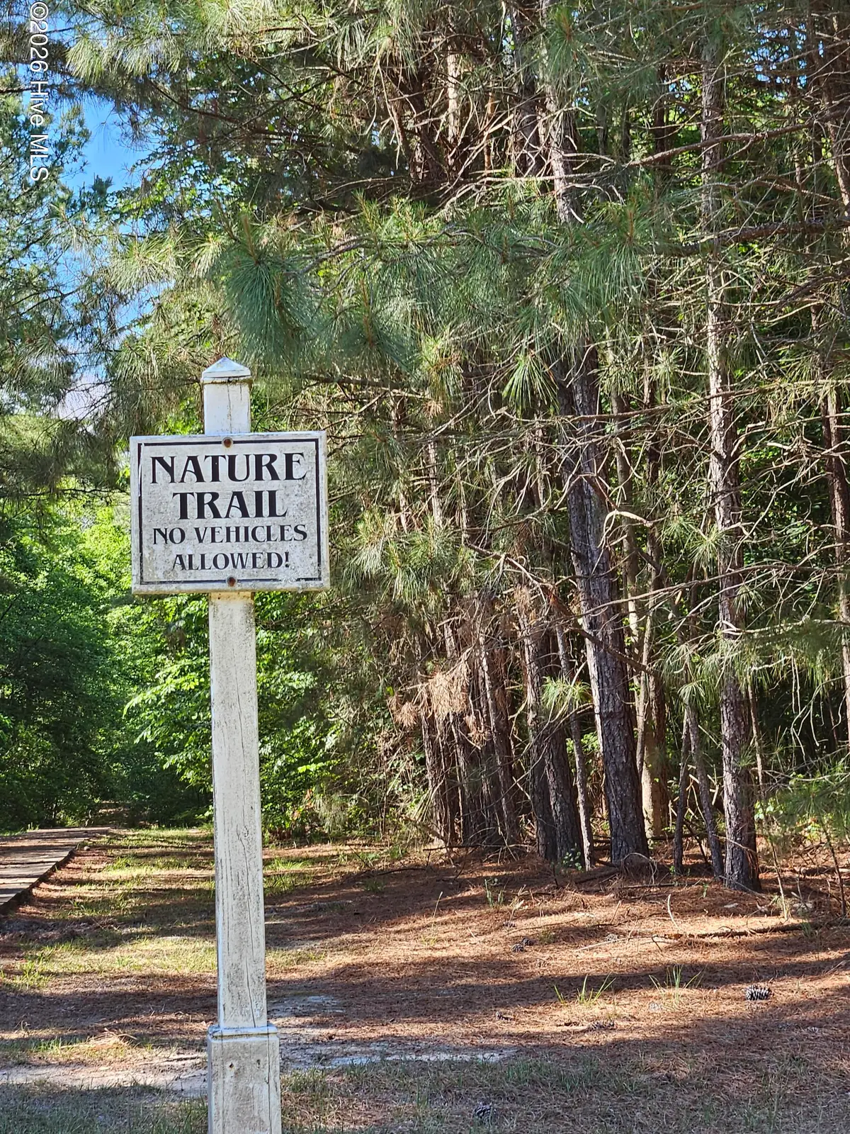 12 Necessity Lane, Hertford, NC 27944 - #1