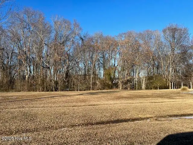 159 Highland Pony Drive, Hertford, NC 27944 - #2