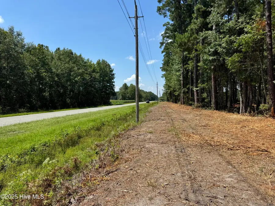 Lot 4 Near 4102 Swamp Fox (lot 4) Highway W, Tabor City, NC 28463 - #3