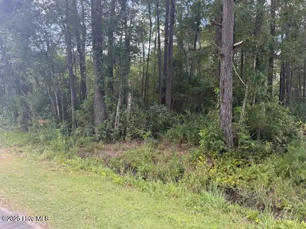 2539 Chauncey Town Road, Lake Waccamaw, NC 28450
