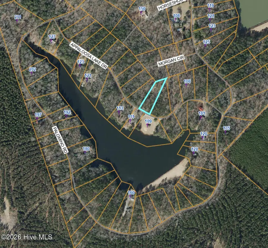 Lot 84 Appaloosa Lake Drive, Carthage, NC 28327 - #2