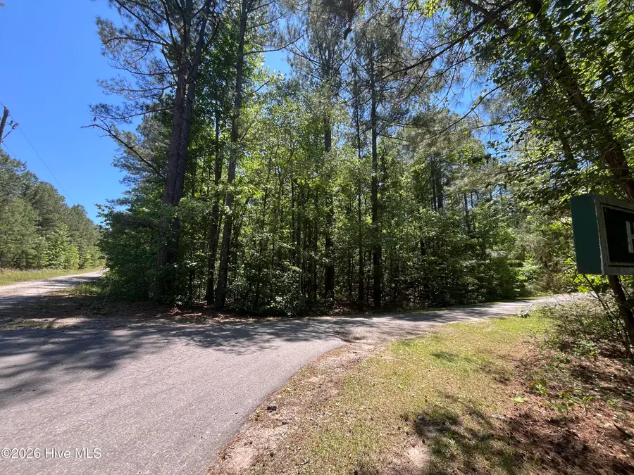 849 Hawthorne Drive, Vass, NC 28394 - #2