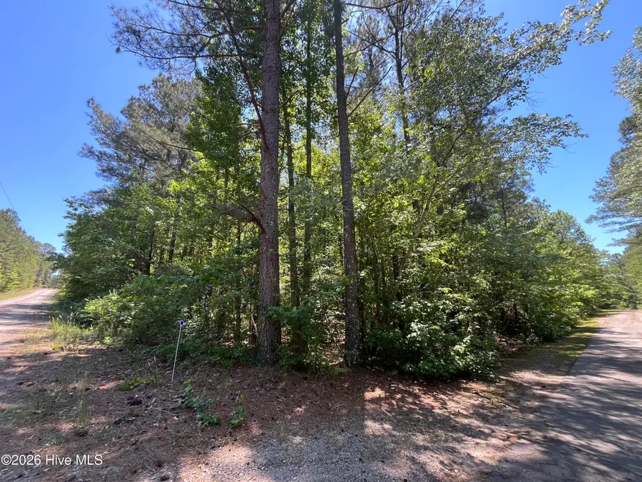 849 Hawthorne Drive, Vass, NC 28394 - #3