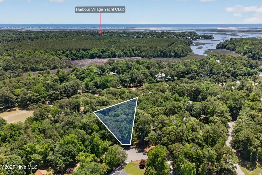 000 Wedge Road, Hampstead, NC 28443 - #2