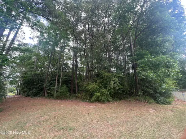 0 Mclamb Street, Roseboro, NC 28382