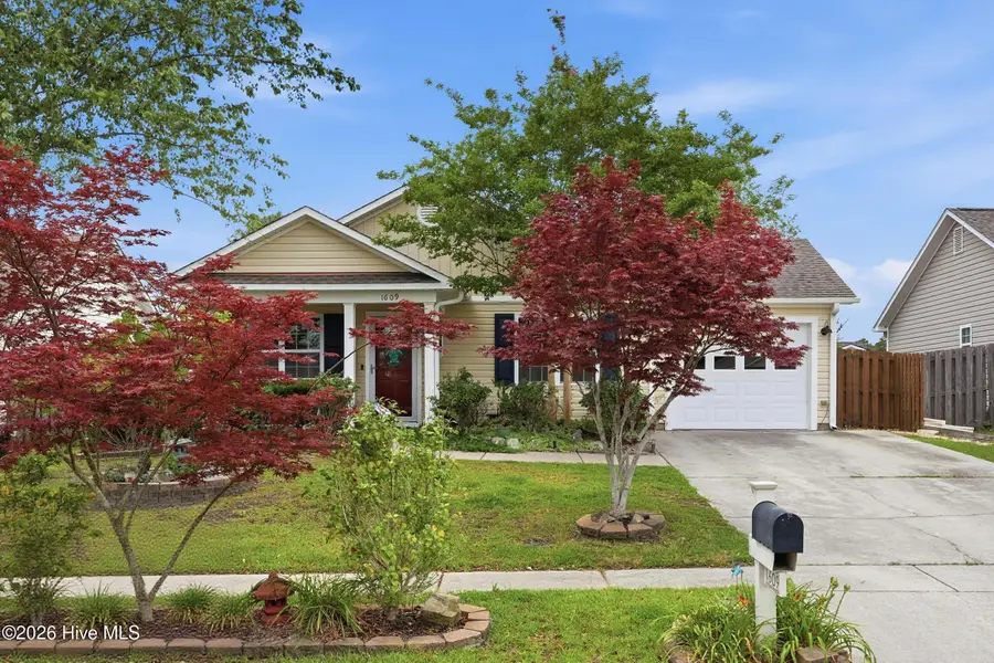 1609 Royal Pine Court, Leland, NC 28451 - #2