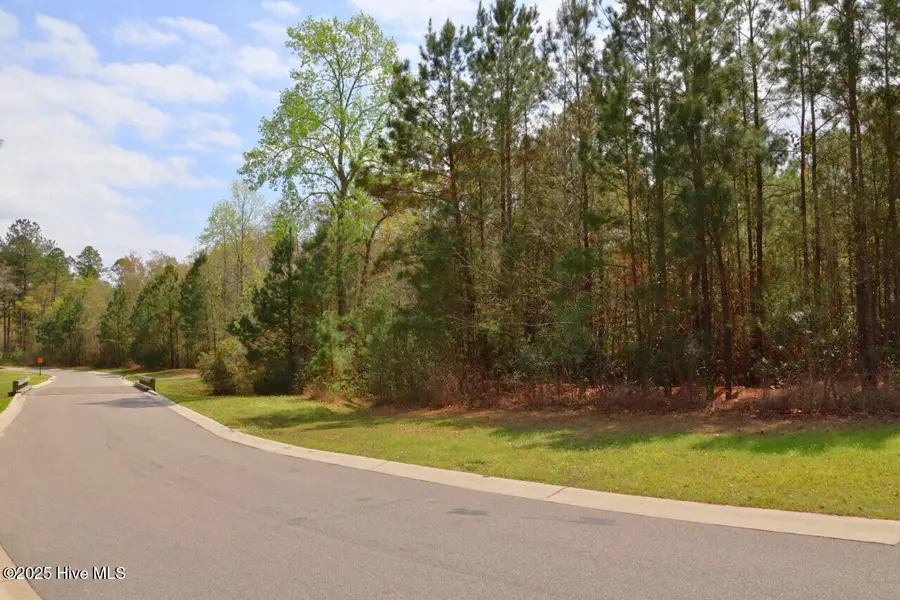 9319 Fallen Pear Lane Ne, Leland, NC 28451 - #2