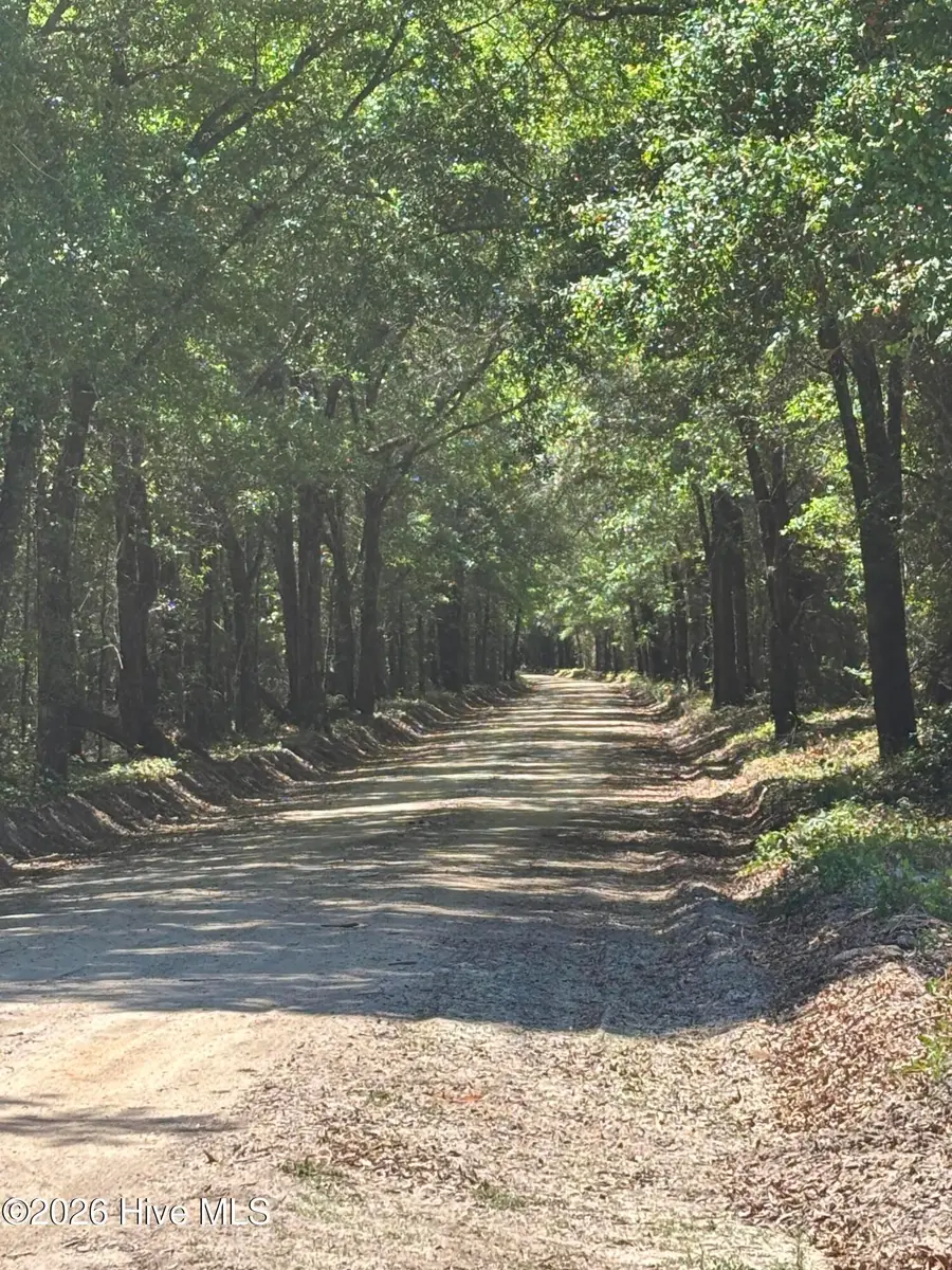 0 Warbonnet Road, Springfield, SC 29146 - #3