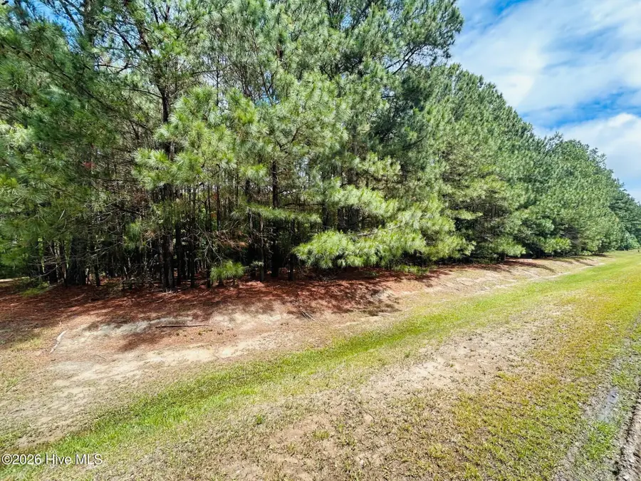 38 Calm Harbor Street, Hertford, NC 27944 - #3