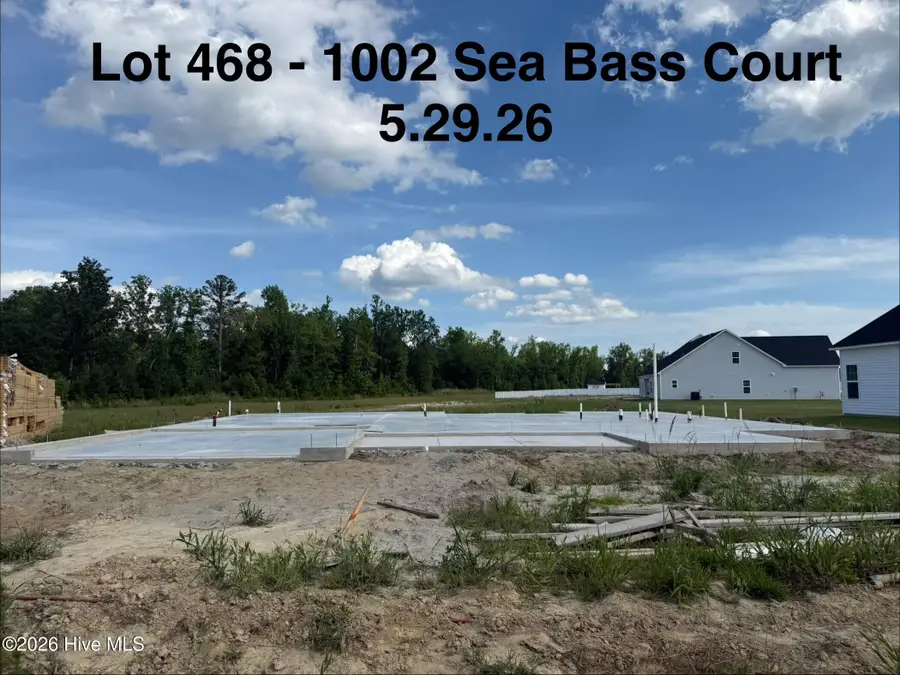 1002 Sea Bass Circle, New Bern, NC 28562 - #3