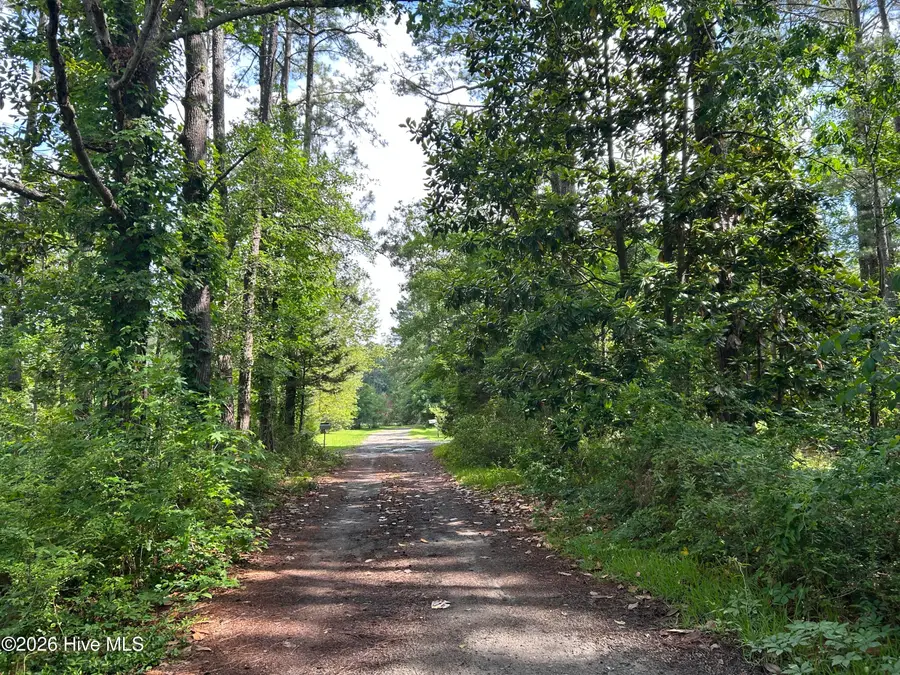 142 High Bluff Trail, Hubert, NC 28539 - #2