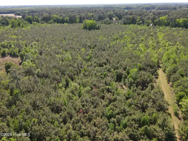 0 Colice Hall Lane, Ahoskie, NC 27910