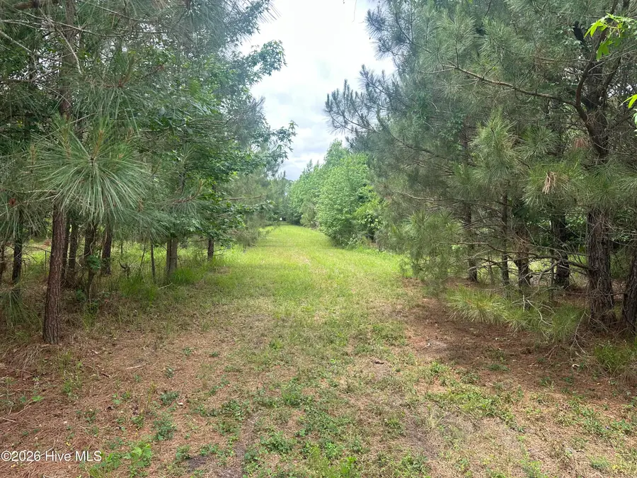 0 Colice Hall Lane, Ahoskie, NC 27910 - #3