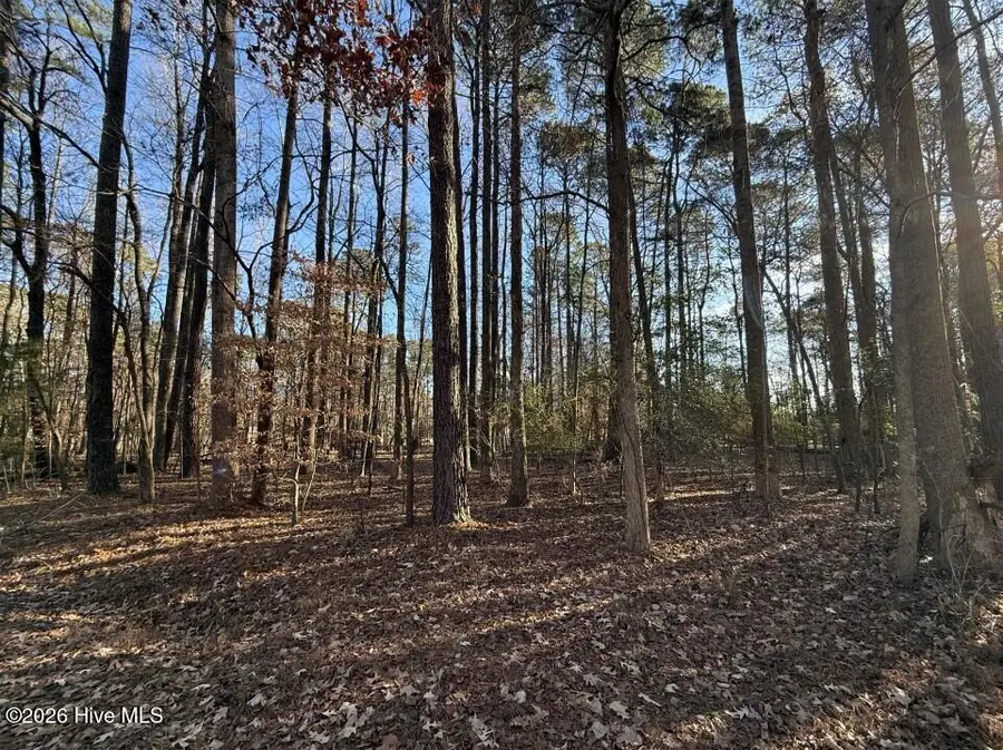 17-C Comanche Trail, Hertford, NC 27944 - #3
