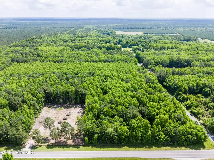 Lot 1 Us Hwy 117 Bypass S, Burgaw, NC 28425 - #3
