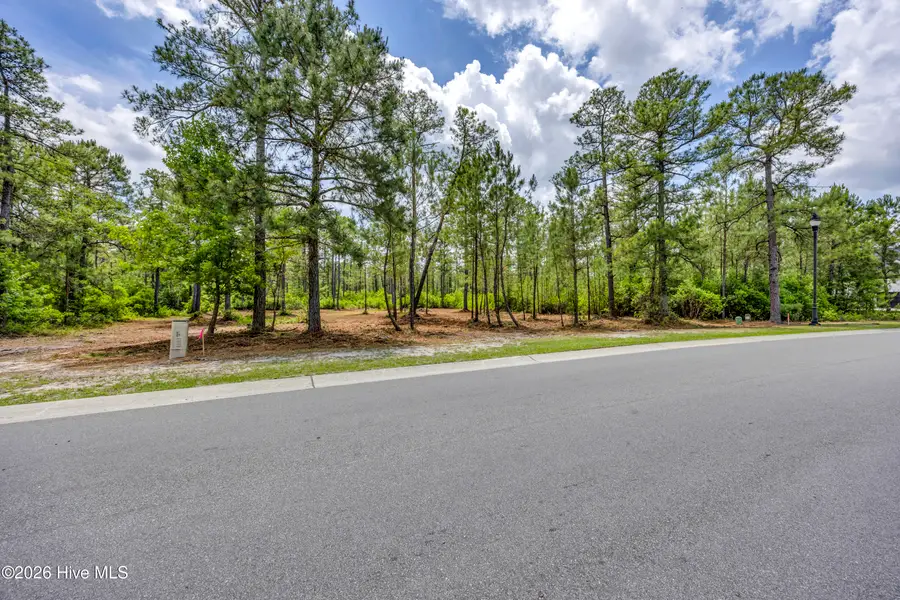 9632 Fallen Pear Lane Ne, Leland, NC 28451 - #3