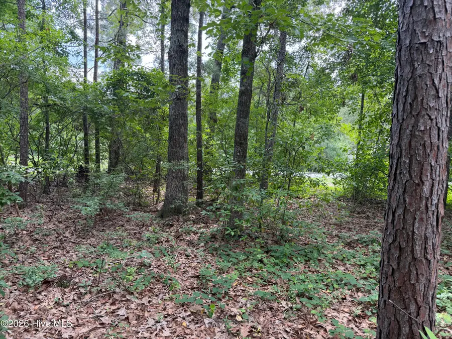 118 Ferret Run Lane, New Bern, NC 28562 - #2