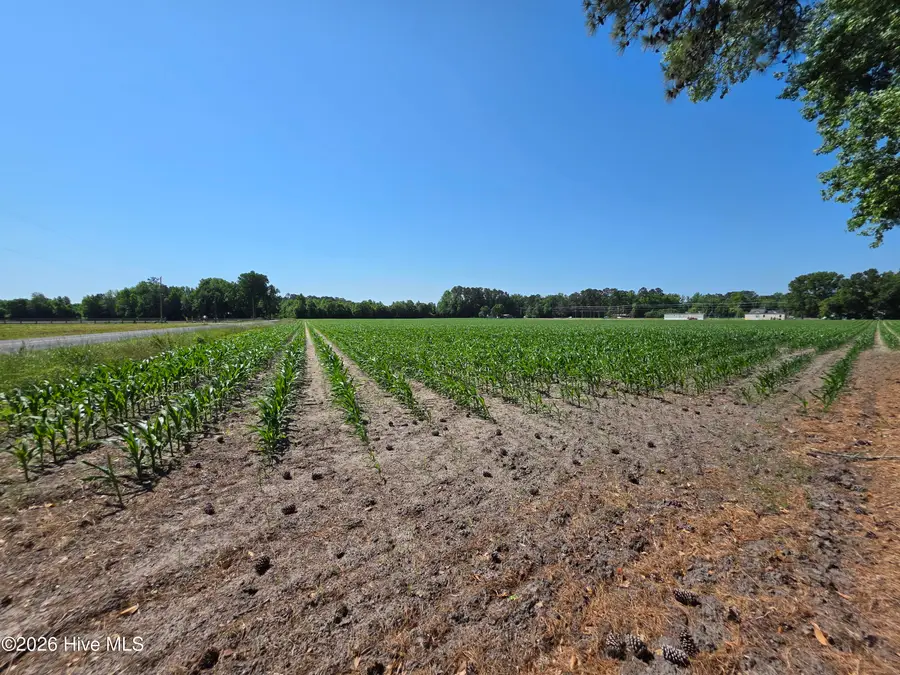 0 Old Brick Road, Vanceboro, NC 28586 - #2