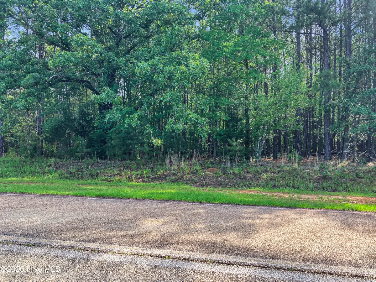1048 Clinton-williams Road, Lincolnton, GA 30817 - #1