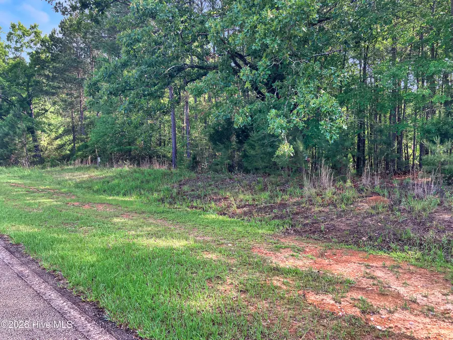 1048 Clinton-williams Road, Lincolnton, GA 30817 - #2
