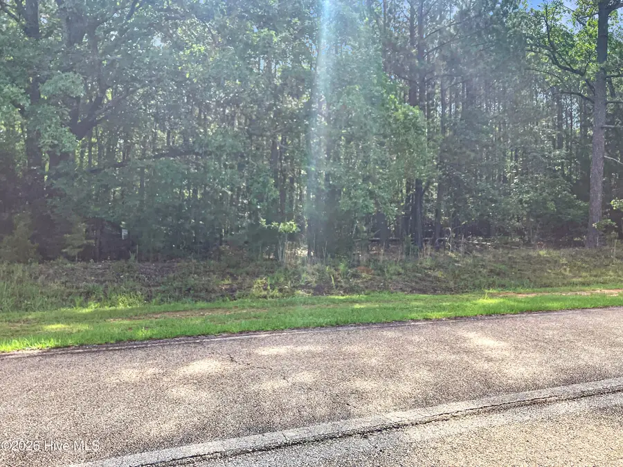 1048 Clinton-williams Road, Lincolnton, GA 30817 - #3