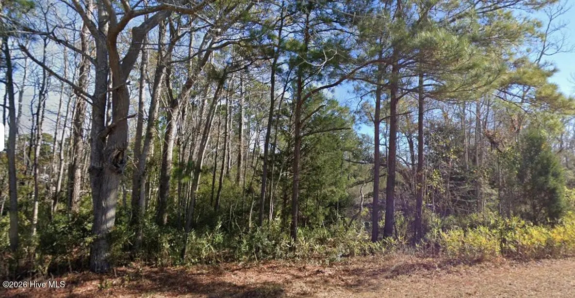 1616 Star Cross Drive Sw, Shallotte, NC 28470 - #1