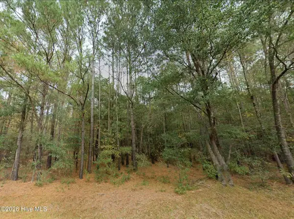 0 Shiloh Road, Willard, NC 28478