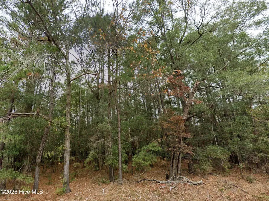 0 Shiloh Road, Willard, NC 28478 - #2