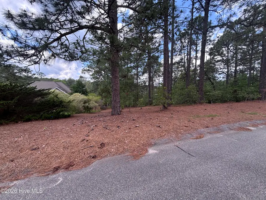 111 Callis Circle, West End, NC 27376 - #3