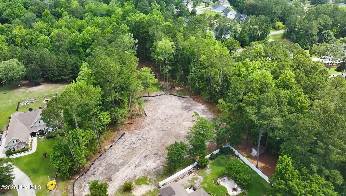 306 Joans Ridge, Stella, NC 28582 - #1