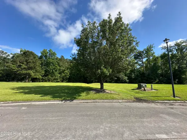 98 Carolina Way, Arapahoe, NC 28510
