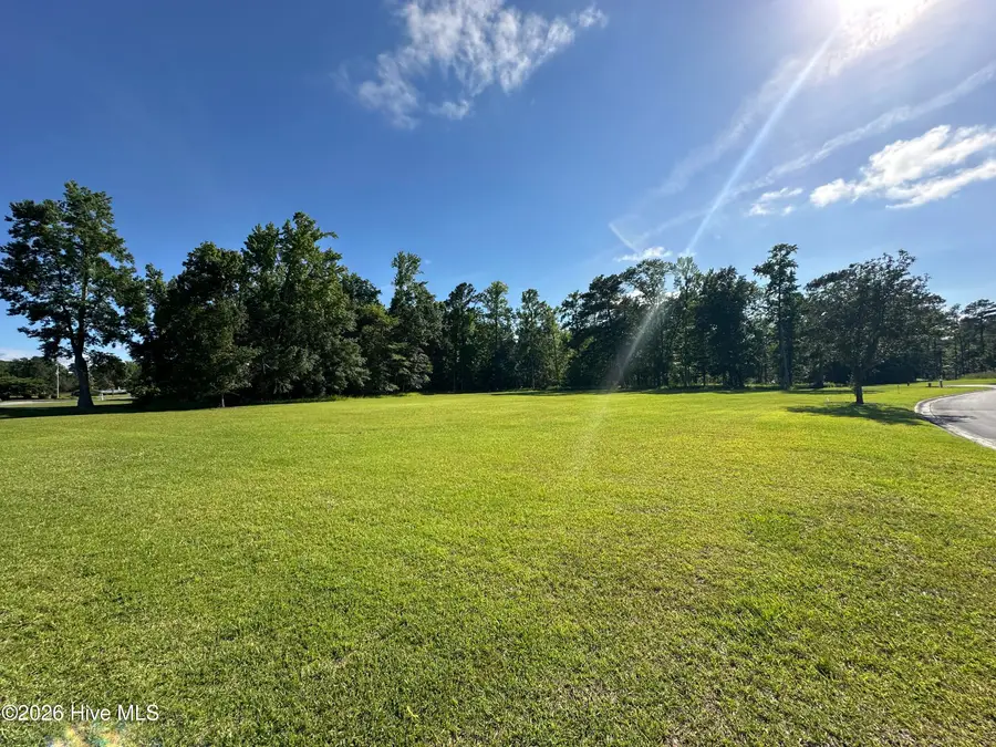 98 Carolina Way, Arapahoe, NC 28510 - #2