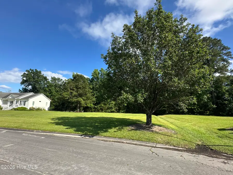 98 Carolina Way, Arapahoe, NC 28510 - #3