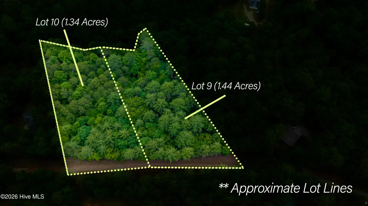 Lot #9 &10 Holly Ridge Lane, Murphy, NC 28906 - #1