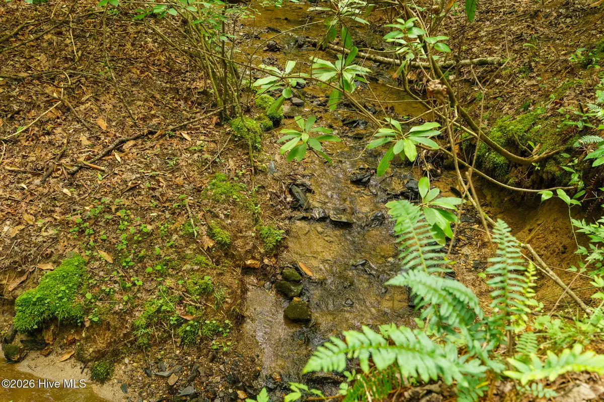 Lot 9 Holly Ridge Lane, Murphy, NC 28906 - #1