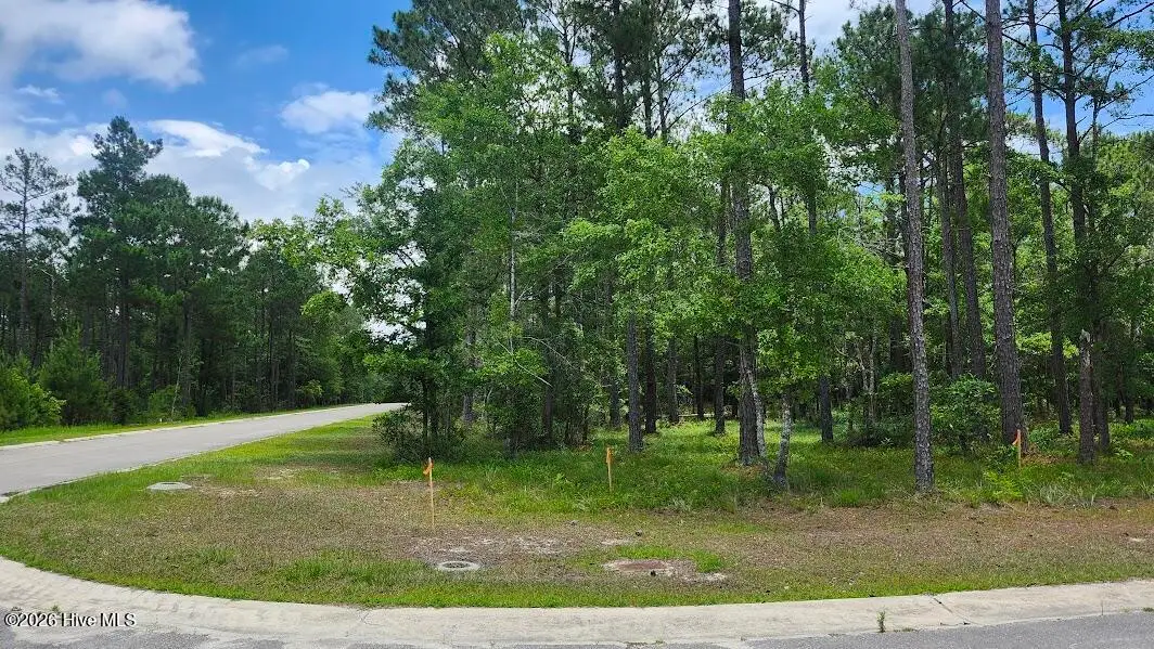 3115 Warrington Way Se, Bolivia, NC 28422 - #1